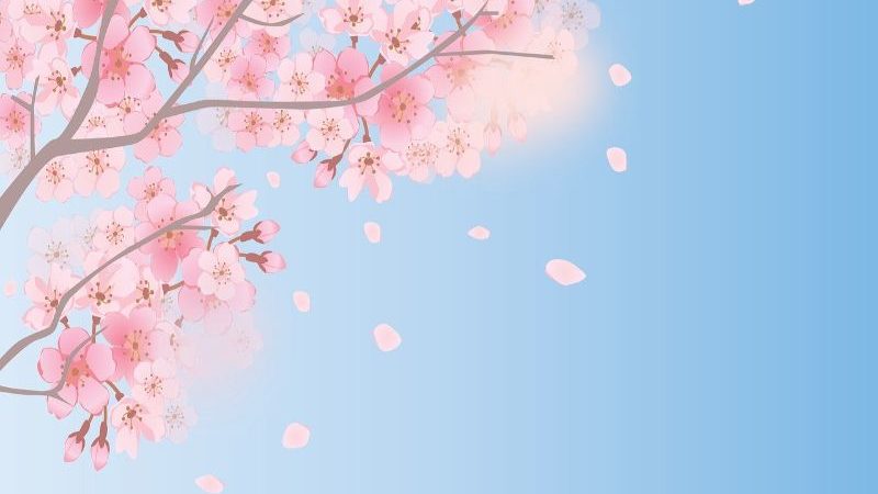 桜のイラスト