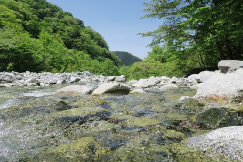 関東で犬と川遊びができる場所5選 溺れないようにするには 注意事項つき 夏休みfun